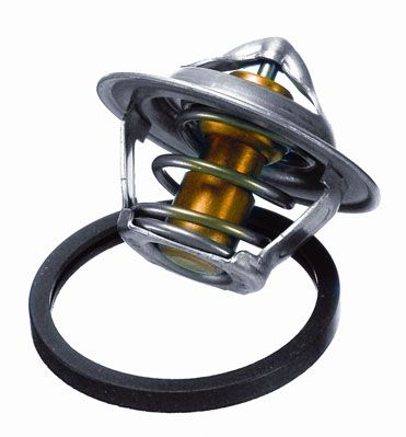 Термостат Daewoo Nexia/Lanos 1.5 SOHC 94> 3017.87D2(25)