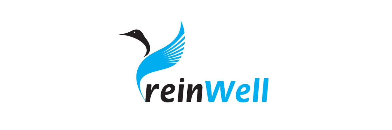 ReinWell ReinWell