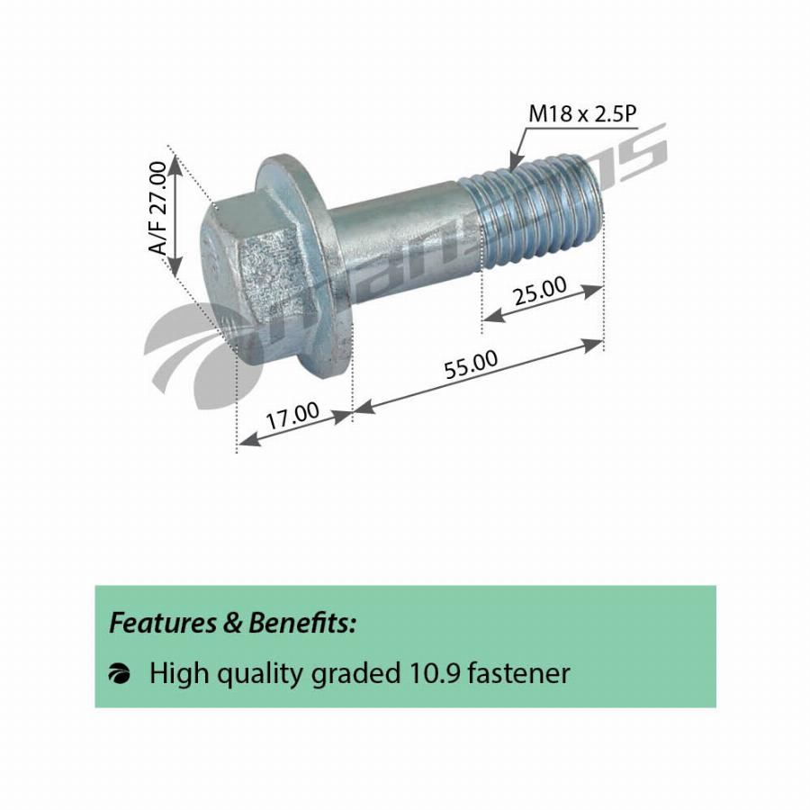 Болт M18*2.5*55 SW27 крепления суппорта DAF XF95 200.341