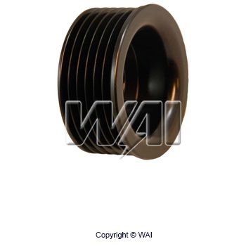 Шкив генератора Peugeot 307/Citroen C3/Berlingo 2494303