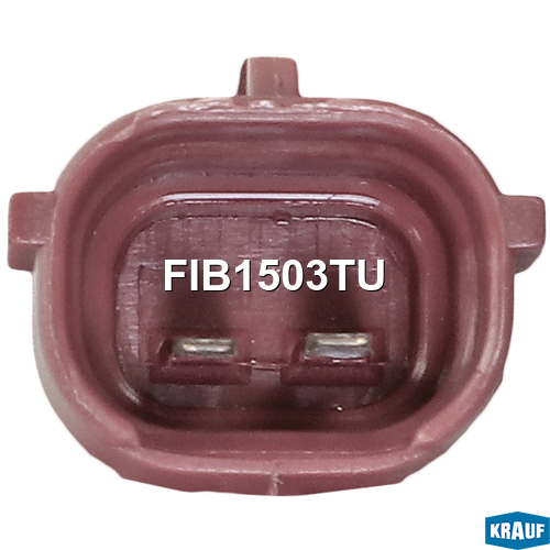 Форсунка топливная Ford C-Max/Focus/Mondeo/Mazda 323/5/6/MPV/Volvo C30/S40/V5 FIB1503TU