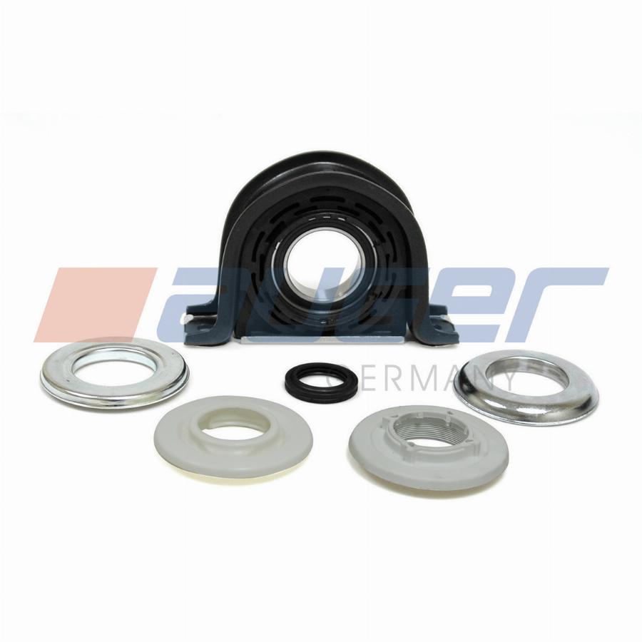 Подшипник подвесной d=60mm DAF LF 45/55 55742