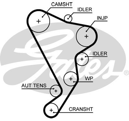 Р/к привода ГРМ с водяным насосом VW Crafter/LT II KP15661XS
