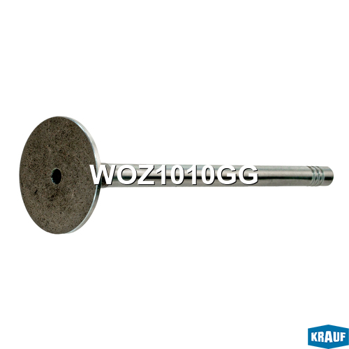 Клапан выпускной 28*6*101.8 Audi A3 2.0 AXW 03> WOZ1010GG