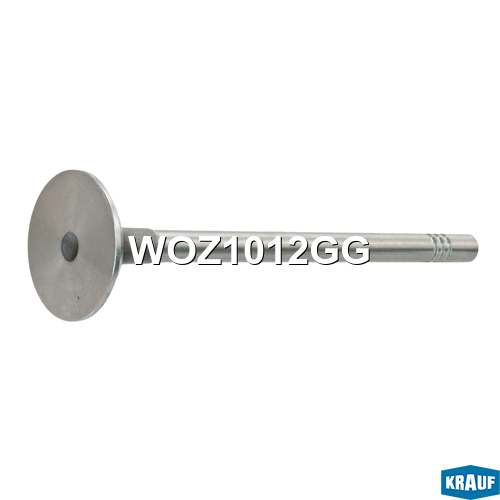 Клапан выпускной 26*5.97*99.1 Audi/VW/Skoda/Seat 2.0TDI 05> WOZ1012GG